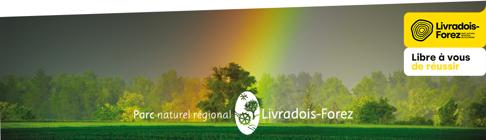 découvrez notre service d'installation de toits photovoltaïques dans le livradois. profitez d'une énergie propre et renouvelable tout en augmentant la valeur de votre propriété. contactez-nous pour un devis personnalisé et commencez à économiser sur vos factures d'électricité dès aujourd'hui.