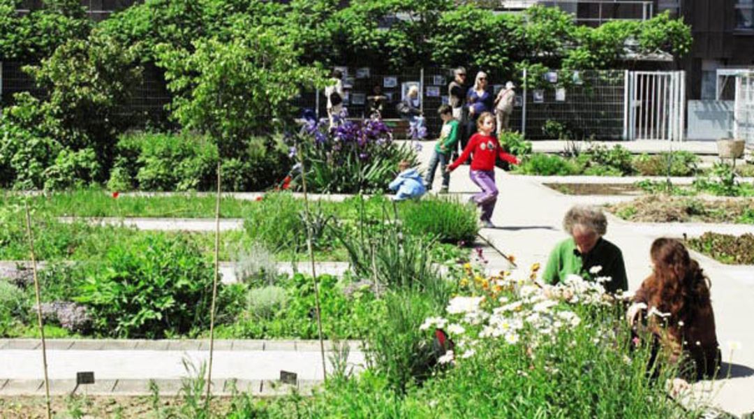 découvrez comment aménager un toit potager pour cultiver vos propres légumes et herbes en milieu urbain. apprenez des astuces pratiques pour maximiser l'espace, choisir les bonnes plantes et profiter des bienfaits d'un jardin sur votre toit.