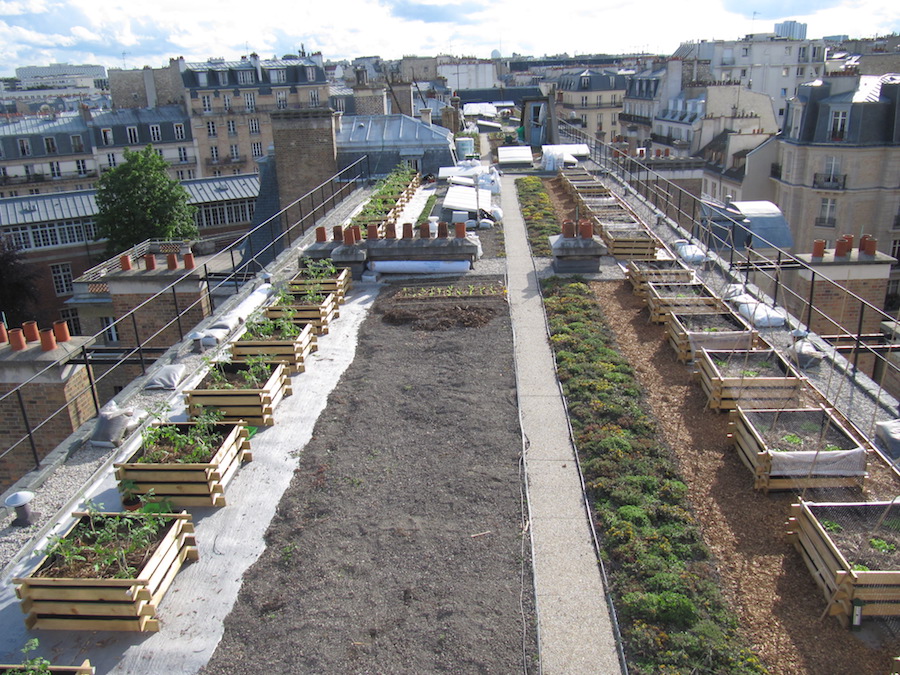 découvrez les avantages d'un toit potager : un espace vert écologique, des légumes frais à portée de main et une réduction de l'empreinte carbone. transformez votre toiture en un jardin urbain productif et esthétique, propice au bien-être et à la biodiversité.