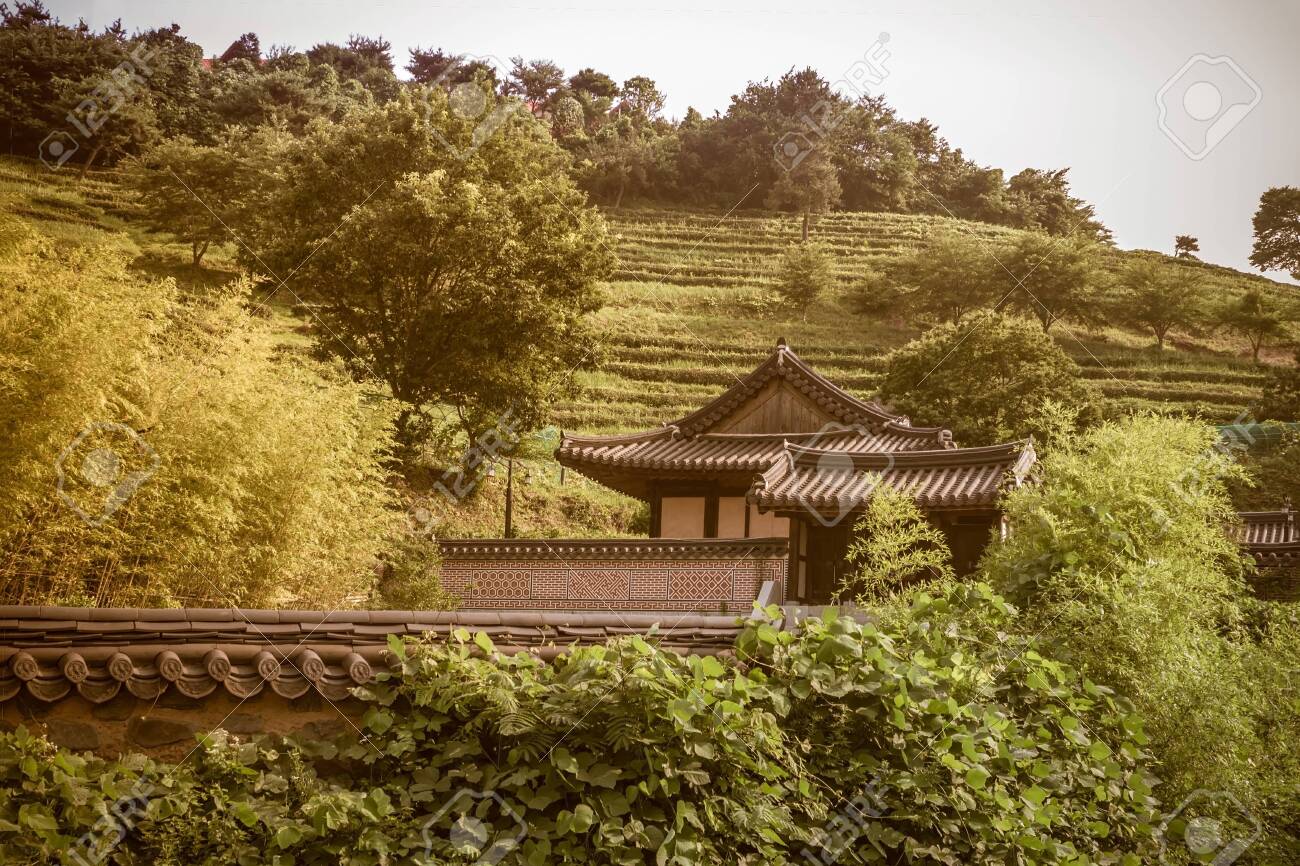 découvrez les services de toiture de toit province, votre expert en rénovation et entretien de toitures. profitez d'un travail de qualité, d'une équipe professionnelle et de conseils personnalisés pour protéger et embellir votre maison.