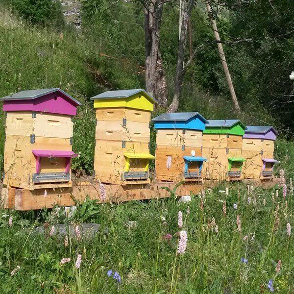 découvrez le toit ruche dadant, une conception innovante qui offre une protection optimale à vos ruches. conçu pour favoriser le bien-être de vos abeilles, ce toit assure une isolation parfaite et une excellente ventilation. parfait pour les apiculteurs cherchant à améliorer la durabilité et l'efficacité de leur production.