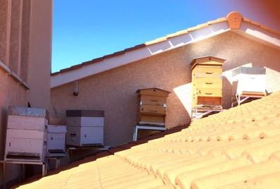 découvrez le concept innovant du toit ruche, une solution écologique et esthétique qui combine habitat humain et biodiversité. transformez votre espace urbain en un véritable écosystème en intégrant des ruches sur votre toit, favorisant la pollinisation et le bien-être des abeilles.