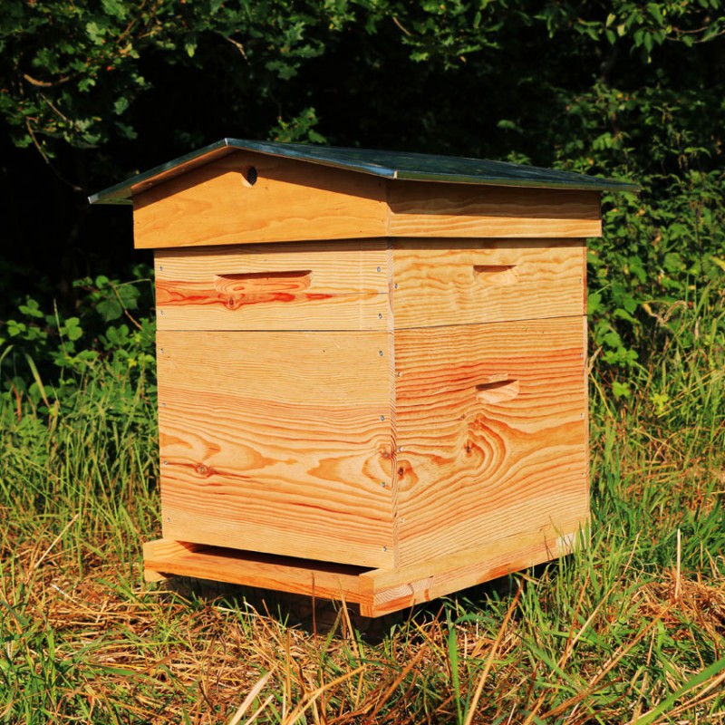 découvrez le concept innovant du toit ruche, une solution écologique et esthétique pour intégrer la biodiversité en milieu urbain. transformez votre toiture en un véritable écosystème pour abeilles et autres pollinisateurs tout en améliorant l'isolation de votre habitat.
