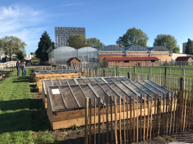 découvrez les avantages du toit serre, une solution innovante pour maximiser la lumière naturelle dans votre maison tout en améliorant l'efficacité énergétique. apprenez comment cet ajout esthétique peut transformer votre espace de vie et créer une atmosphère chaleureuse.