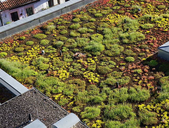 découvrez les avantages d'un toit vert : amélioration de l'isolation, réduction des îlots de chaleur urbains et promotion de la biodiversité. transformez votre espace en un lieu durable et esthétique grâce à nos solutions eco-responsables.