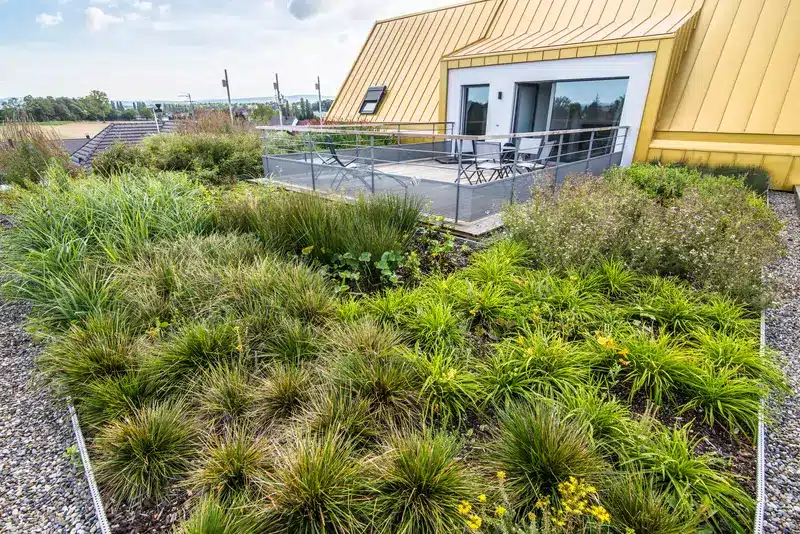 découvrez tous les avantages des toits végétaux, une solution écologique qui améliore l'isolation de votre maison tout en contribuant à la biodiversité. apprenez comment intégrer un toit végétal dans votre projet de construction ou de rénovation, et profitez d'un espace vert unique sur votre toiture.