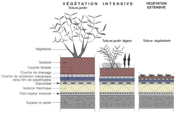 découvrez les avantages d'un toit végétal : une solution écologique qui améliore l'isolation, réduit les îlots de chaleur et embellit votre espace extérieur. optez pour un habitat durable et respectueux de l'environnement.