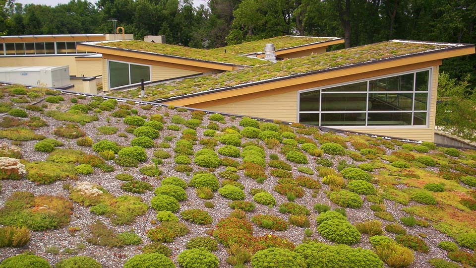 découvrez les avantages des toits végétaux : esthétique, isolation thermique et biodiversité. transformez votre espace urbain en un havre verdoyant et contribuez à la durabilité écologique de votre environnement.