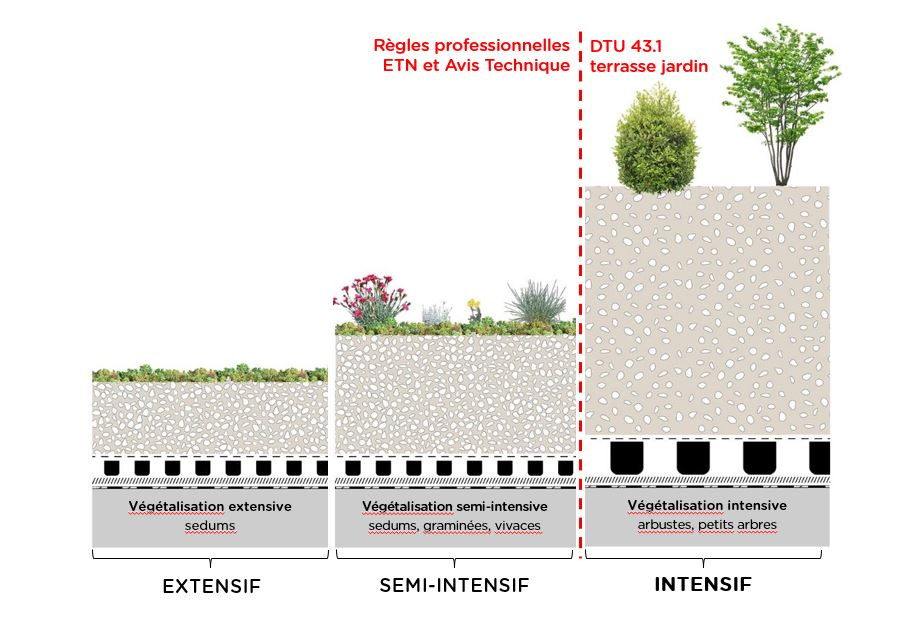 découvrez les avantages des toits végétaux, une solution écologique pour améliorer l'isolation, favoriser la biodiversité et embellir vos espaces urbains. transformez votre toiture en un véritable havre de verdure !