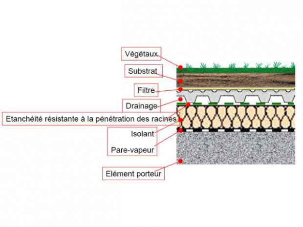 découvrez les avantages des toits végétaux : une solution écologique qui favorise la biodiversité, améliore l'isolation thermique et contribue à la gestion des eaux pluviales. transformez votre espace en un lieu moderne et respectueux de l'environnement.