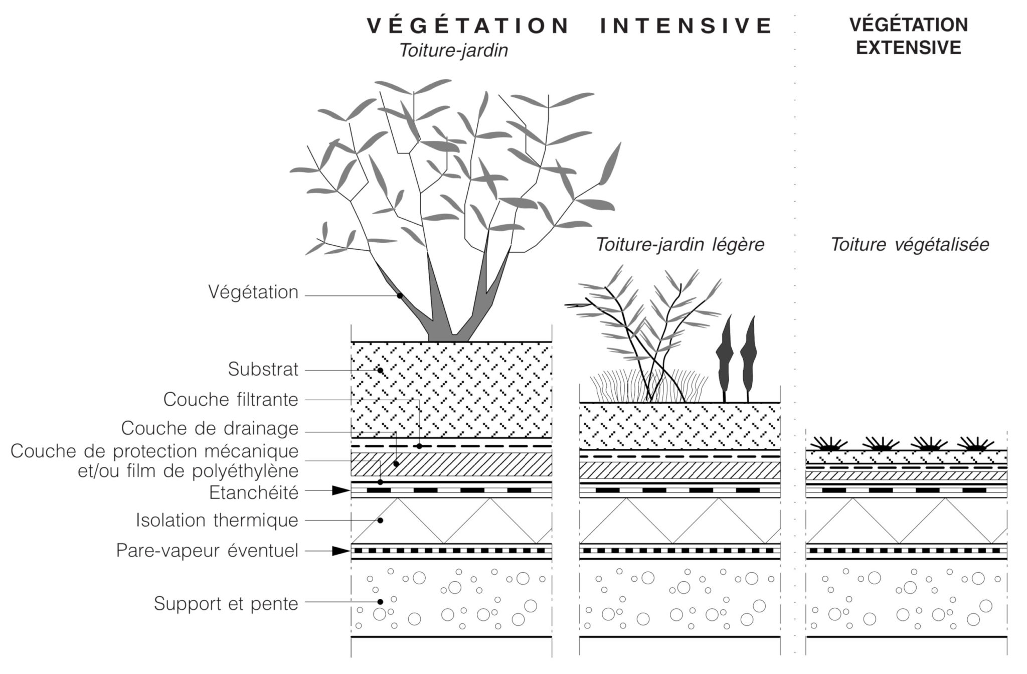 découvrez les avantages des toits végétaux : une solution écologique pour améliorer l'isolation, favoriser la biodiversité et embellir vos espaces urbains. optez pour une toiture durable et esthétique qui contribue à la lutte contre le réchauffement climatique.