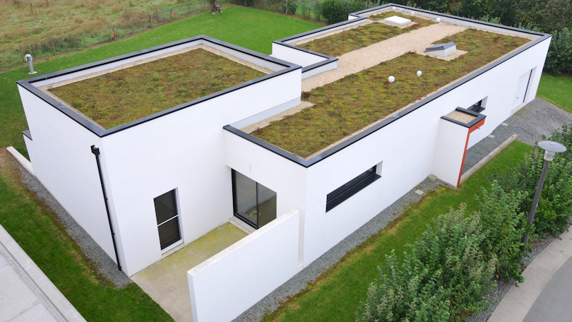 découvrez les avantages des toits végétaux : isolation thermique, biodiversité et esthétisme. transformez votre espace urbain en un havre de verdure tout en contribuant à la préservation de l'environnement.