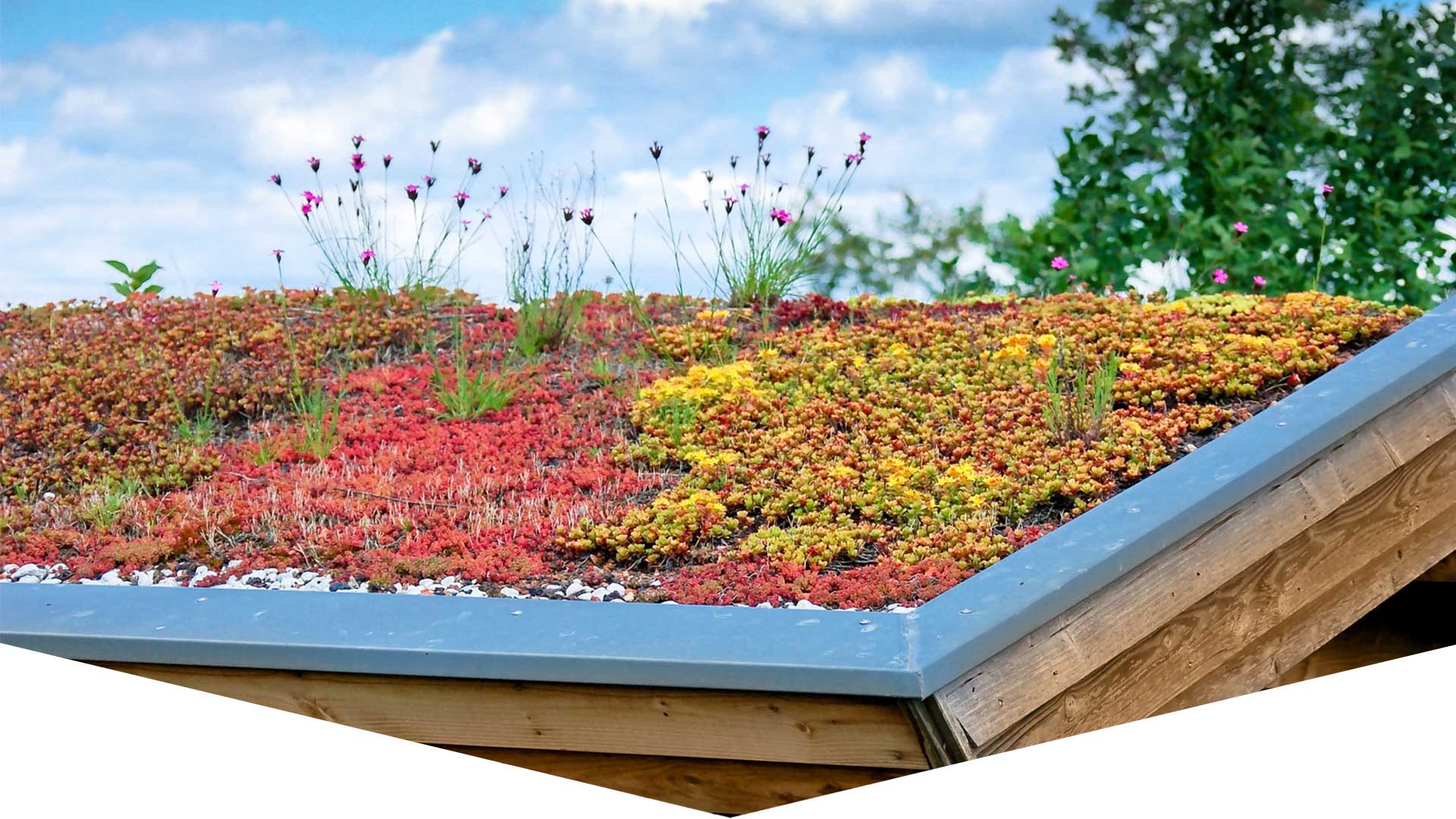 découvrez les avantages du toit végétal : une solution écologique qui améliore l'isolation, favorise la biodiversité et embellit votre espace urbain. optez pour une toiture vivante et durable, alliée parfaite de l'environnement.