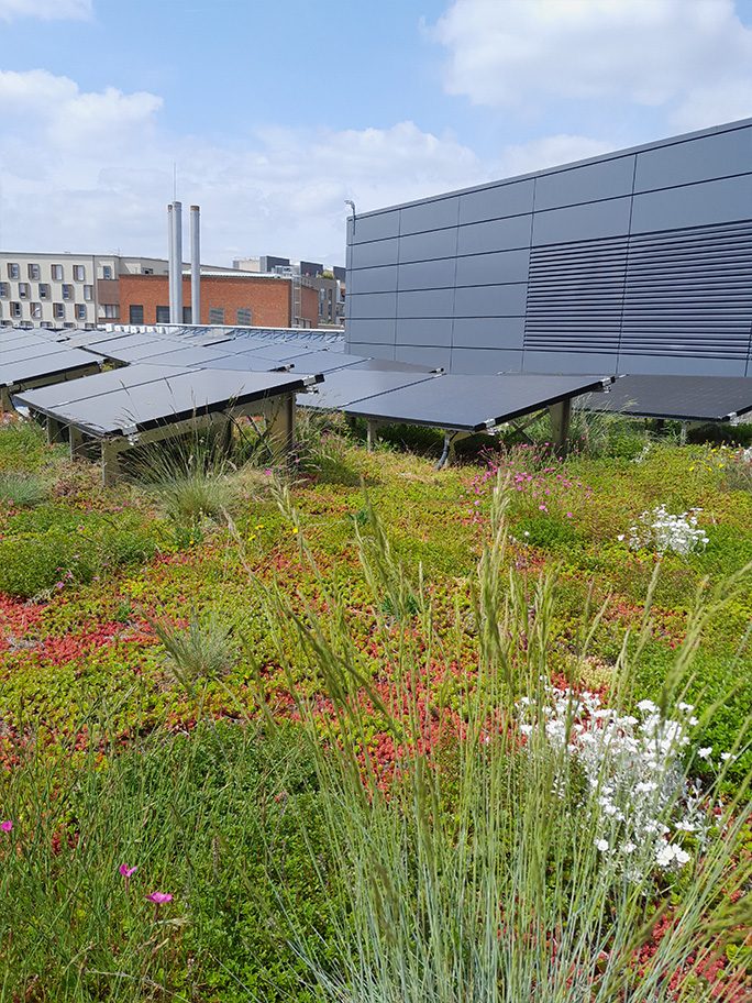 découvrez les avantages des toits végétaux et photovoltaïques, alliant écologie et énergies renouvelables. transformez votre espace en un lieu durable, embellissez votre environnement et contribuez à la transition énergétique tout en améliorant l'isolation de votre bâtiment.