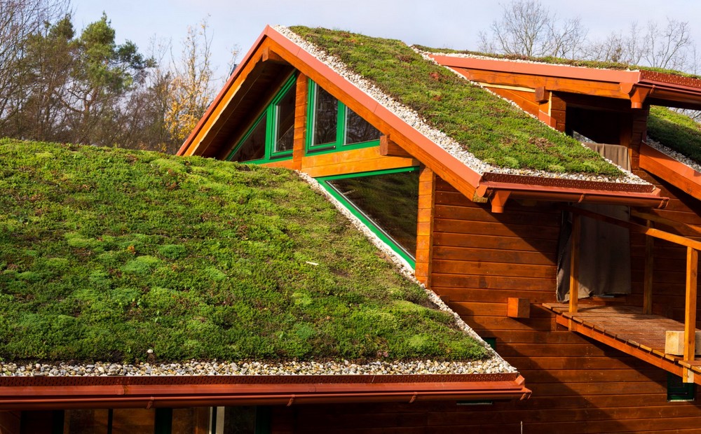 découvrez les avantages d'un toit végétal pour une isolation optimale de votre maison. améliorez votre confort thermique tout en préservant l'environnement grâce à cette solution écologique et esthétique.