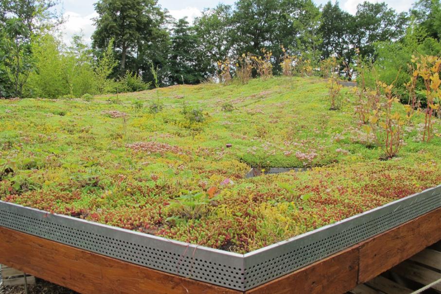 découvrez les avantages des toits végétaux pour votre jardin : une solution esthétique et écologique qui améliore l'isolation, favorise la biodiversité et apporte une touche de nature à votre espace urbain.