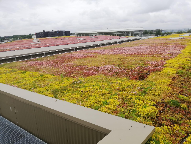découvrez les avantages d'un toit végétal photovoltaïque : une solution innovante alliant écologie et production d'énergie solaire. protégez votre habitat tout en contribuant à la préservation de l'environnement grâce à cette technologie durable.