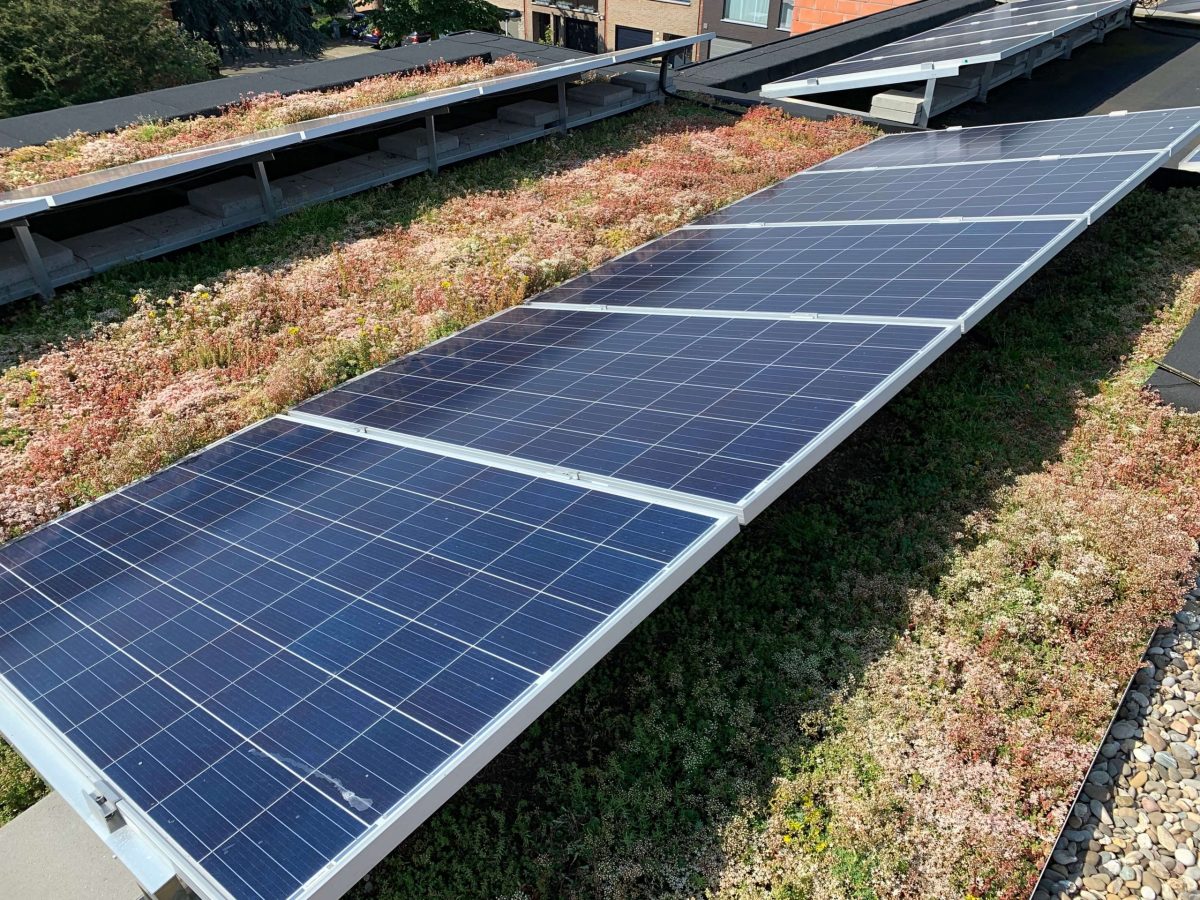 découvrez les avantages du toit végétal solaire, une solution écologique alliant esthétique et durabilité. apprenez comment cette innovation peut réduire votre empreinte carbone tout en offrant une excellente isolation thermique et acoustique.