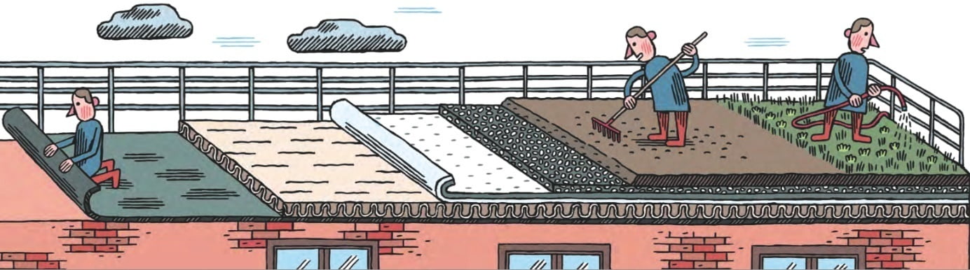 découvrez notre guide sur le toit végétal en tôle, une solution écologique et esthétique qui améliore l'isolation de votre bâtiment tout en contribuant à la biodiversité. transformez votre espace en un havre de paix verdoyant!