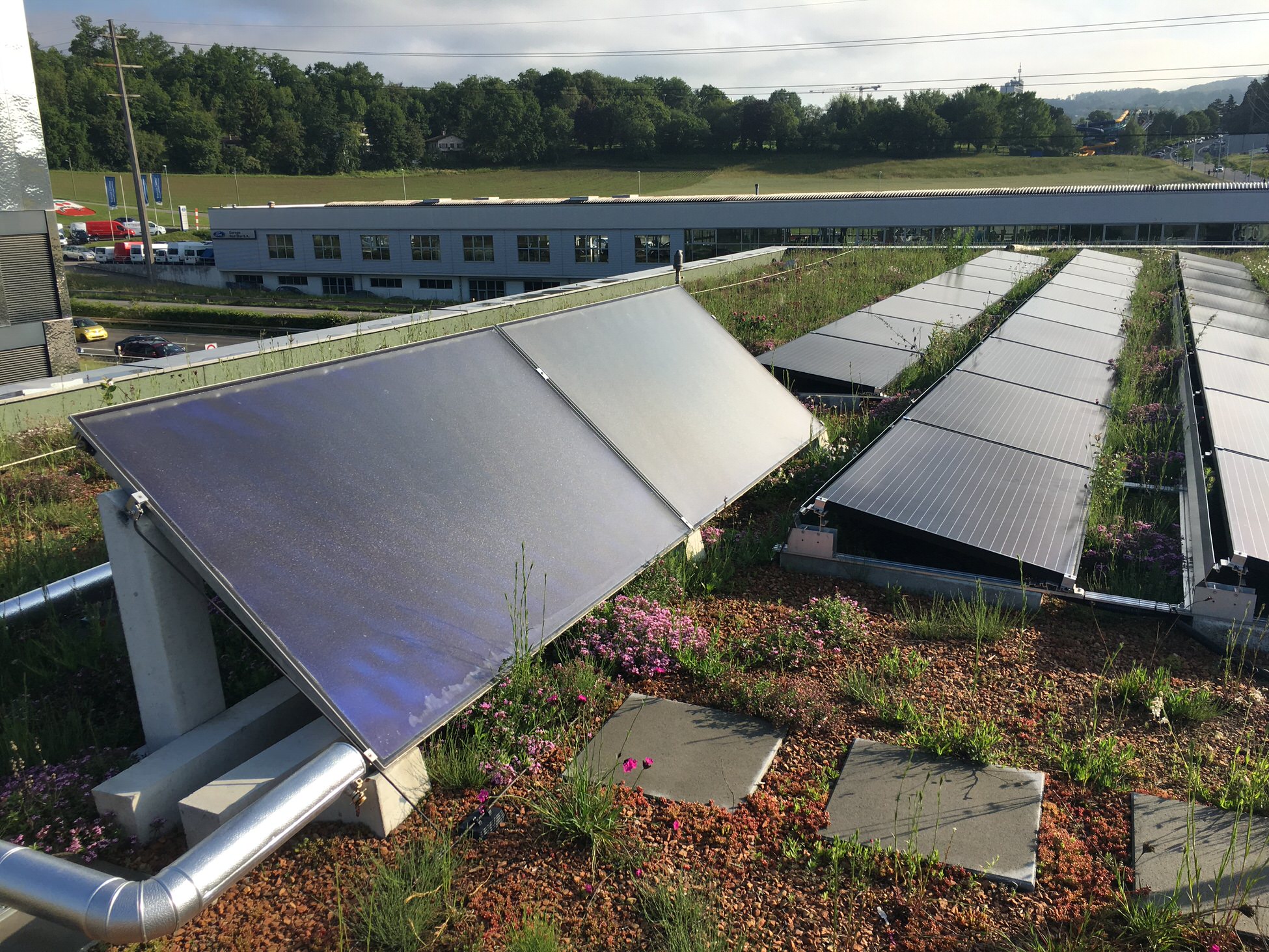 découvrez les avantages et l'importance des toits végétaux pour l'environnement et l'urbanisme. apprenez comment ces solutions innovantes améliorent l'isolation, favorisent la biodiversité et embellissent nos villes.