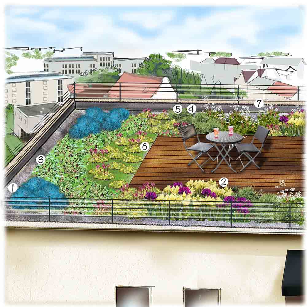 découvrez les avantages du toit végétalisé, une solution écologique et esthétique qui améliore l'isolation de votre habitation tout en contribuant à la biodiversité urbaines. transformez votre espace en un véritable oasis de verdure!