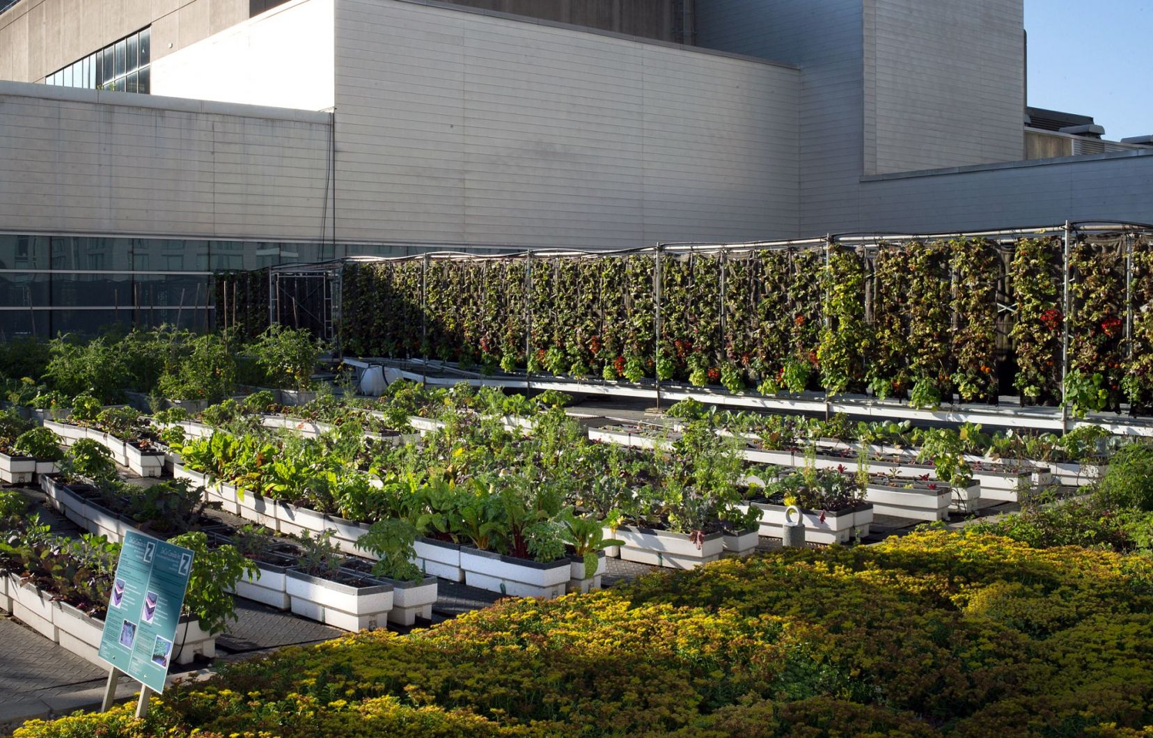 découvrez les avantages des toits verts, une solution écologique qui améliore l'isolation, encourage la biodiversité et contribue à la durabilité des villes. transformez votre espace avec une végétation bénéfique pour l'environnement.