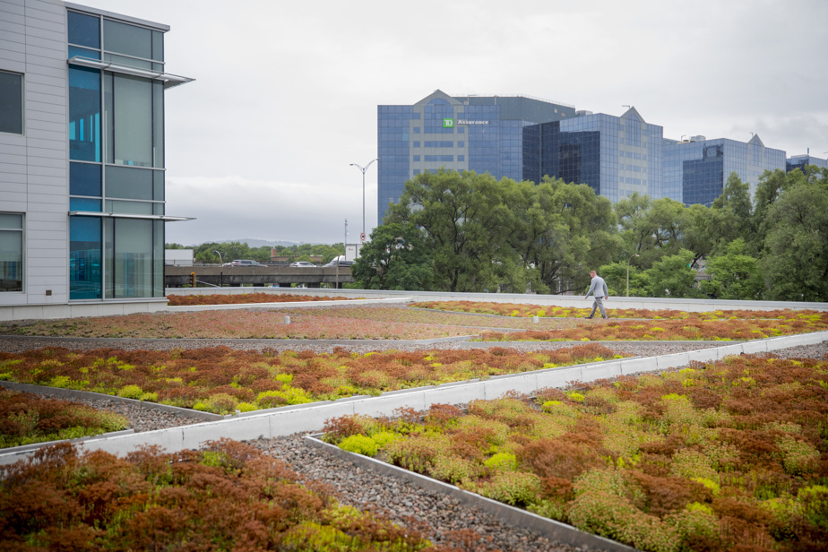 découvrez les avantages d'un toit vert, une solution écologique qui améliore l'isolation thermique et réduit l'empreinte carbone tout en embellissant votre espace. transformez votre toiture en un véritable écosystème durable.
