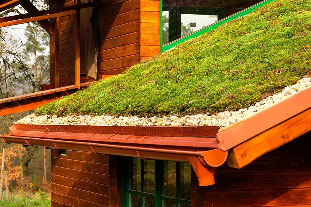 découvrez les avantages des toits verts pour l'environnement et votre espace de vie. améliorez l'isolation, réduisez les îlots de chaleur urbains et favorisez la biodiversité tout en embellissant votre maison avec une végétation luxuriante.
