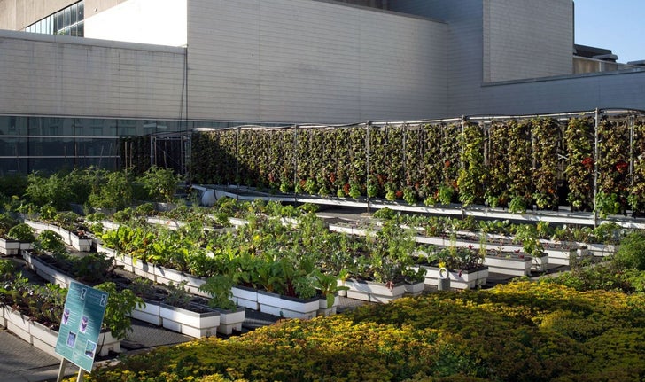 découvrez les avantages d'un toit vert : améliorez l'isolation de votre maison, contribuez à la biodiversité et participez à la lutte contre le changement climatique tout en embellissant votre espace. adoptez cette solution écologique et durable dès aujourd'hui !