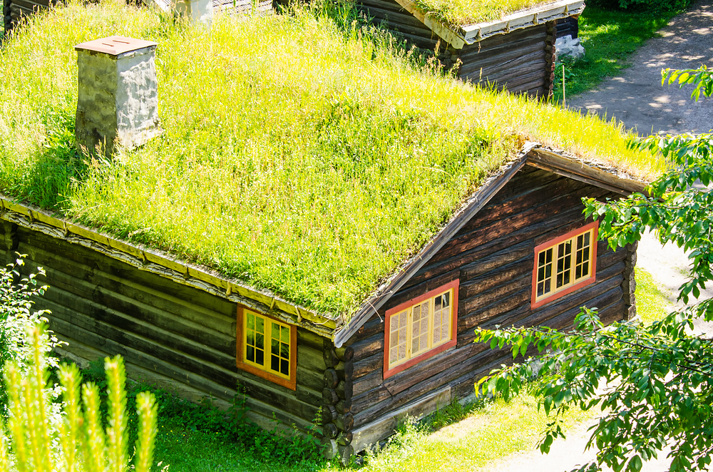 découvrez les nombreux avantages des toits verts, une solution éco-responsable qui améliore l'isolation thermique, réduit les îlots de chaleur urbains et favorise la biodiversité tout en offrant un espace agréable et esthétique.