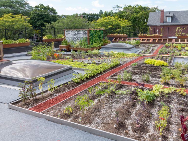 découvrez les nombreux avantages des toits verts : amélioration de l'isolation thermique, réduction des îlots de chaleur urbains, promotion de la biodiversité et contribution à une meilleure gestion des eaux pluviales. adoptez un toit vert pour un environnement plus durable et agréable.
