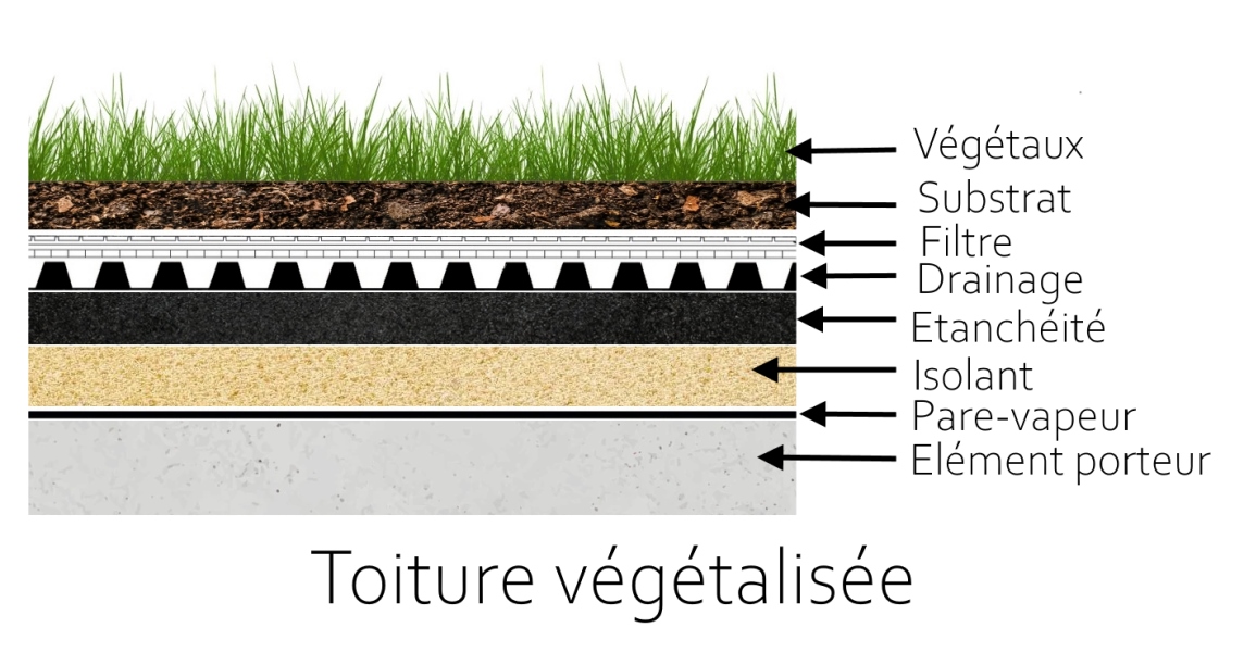 découvrez les nombreux avantages des toits verts : amélioration de l'isolation, réduction des îlots de chaleur urbains, gestion des eaux pluviales et bénéfices écologiques. optez pour un toit vert et contribuez à un environnement plus durable !