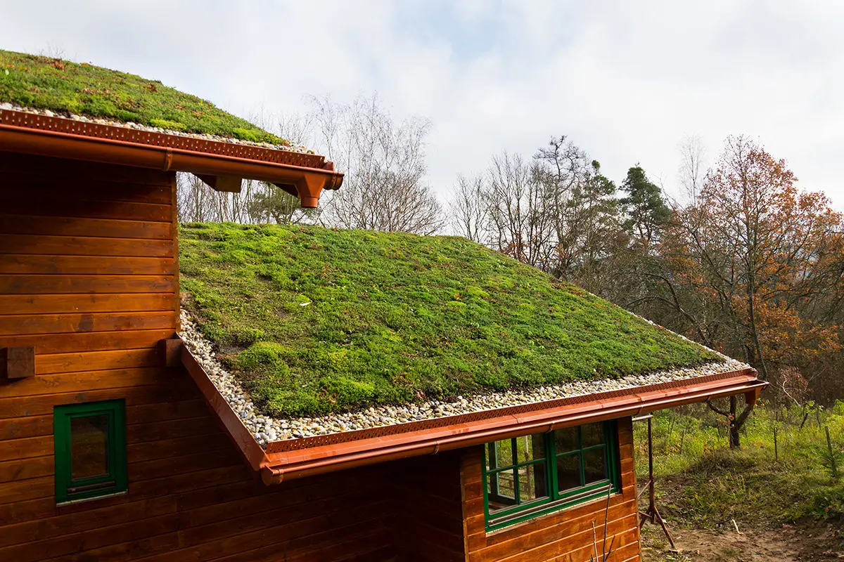 découvrez les avantages d'un toit vert : une solution écoresponsable qui améliore l'isolation, réduit l'empreinte carbone et favorise la biodiversité en milieu urbain. transformez votre espace en un véritable jardin suspendu et profitez d'un habitat plus sain et agréable.