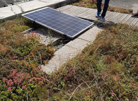 découvrez les toits photovoltaïques, une solution écologique et économique pour produire votre propre énergie. transformez votre toit en source d'énergie renouvelable et réduisez vos factures tout en contribuant à la protection de la planète.