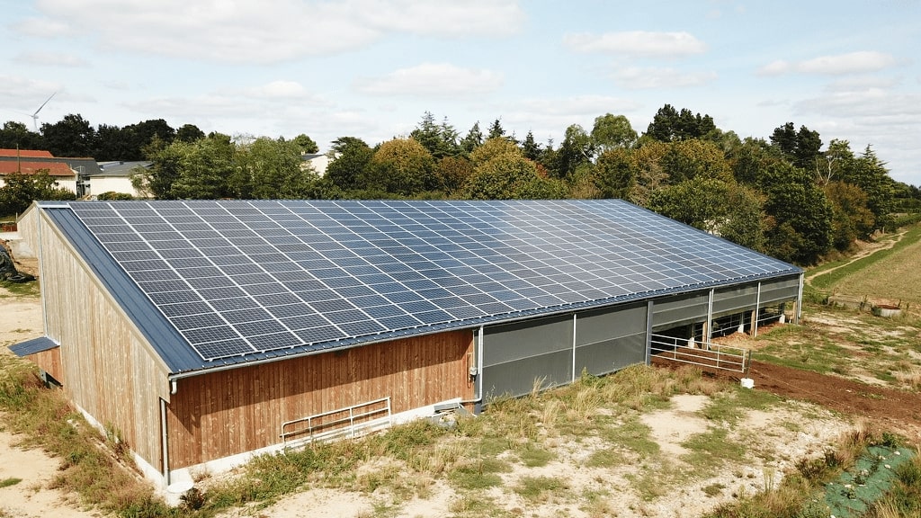 découvrez comment l'association des toits photovoltaïques et de l'élevage bovin peut révolutionner l'agriculture durable. optimisez votre production tout en contribuant à la transition énergétique grâce à des solutions innovantes et respectueuses de l'environnement.