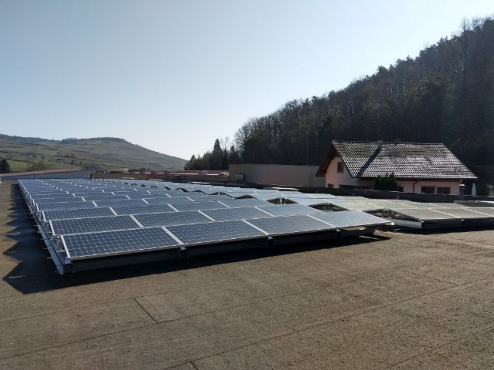 découvrez comment les panneaux photovoltaïques contribuent à la protection de l'environnement tout en offrant une solution énergétique durable. apprenez les bénéfices écologiques de l'énergie solaire et son impact positif sur la planète.