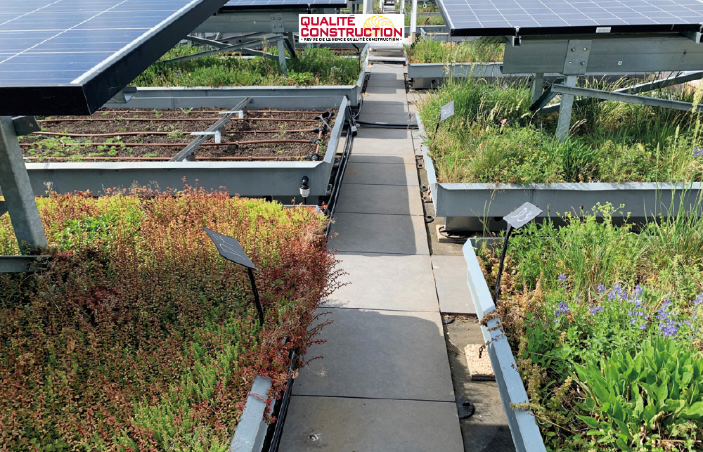 découvrez comment l'installation de toits solaires contribue à la biodiversité urbaine. explorez les avantages écologiques des panneaux solaires, de la création d'habitats pour la faune à la lutte contre le changement climatique. transformez votre toit en un espace durable et vivant.