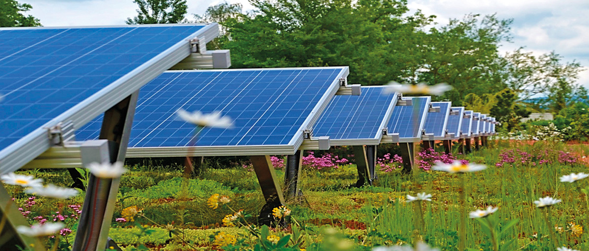 découvrez les avantages des toits verts et photovoltaïques, alliant esthétique et durabilité. transformez votre espace en un environnement éco-responsable tout en produisant de l'énergie renouvelable. idéal pour réduire votre empreinte carbone et améliorer l'efficacité énergétique de votre bâtiment.