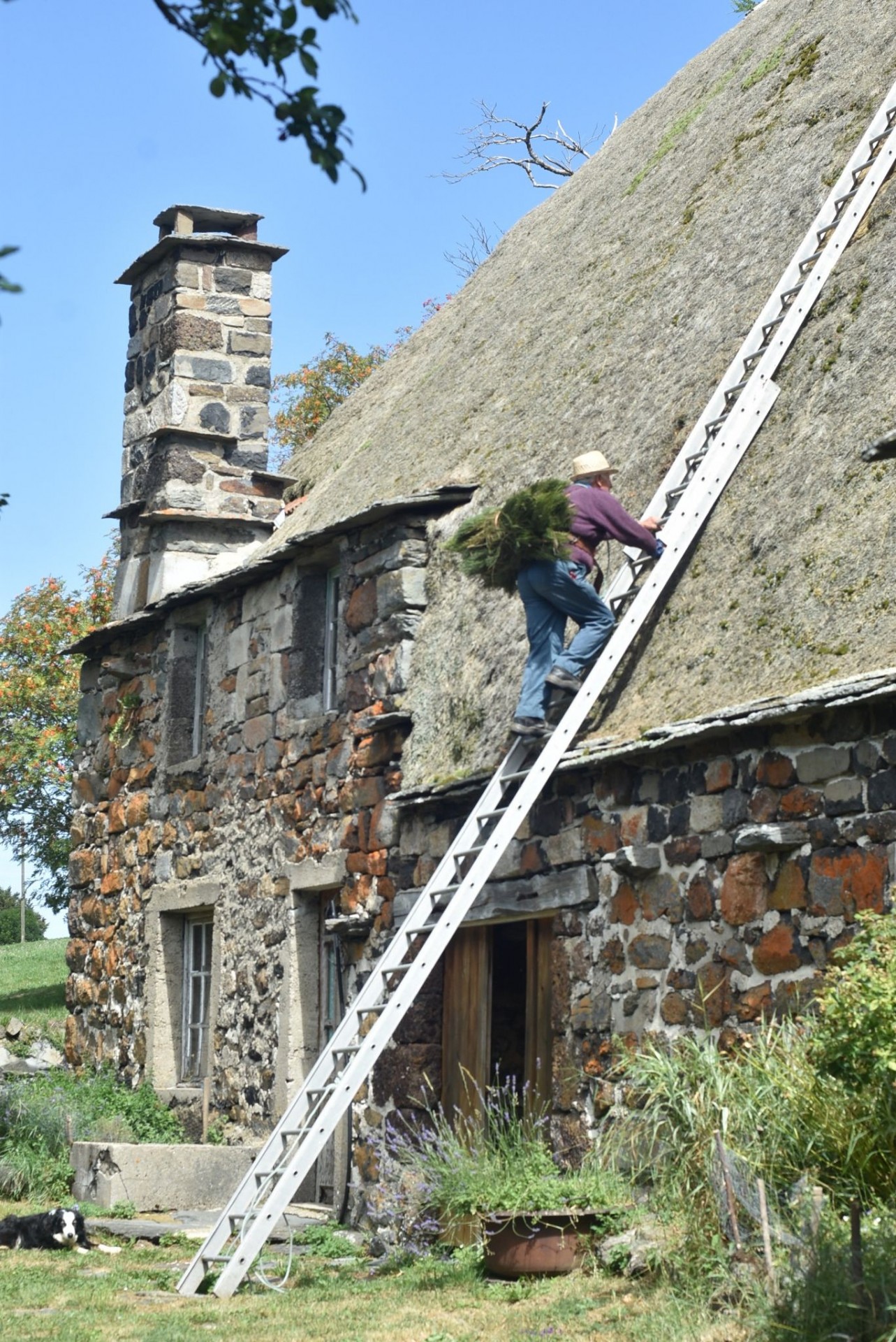 découvrez toiture avenir, votre expert en solutions de toiture innovantes et durables. nous vous accompagnons dans la réalisation de vos projets de couverture, en alliant qualité, esthétisme et respect de l'environnement.