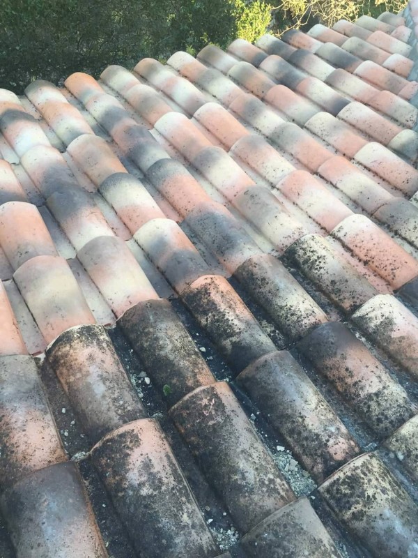 découvrez nos services de toiture pour copropriété, incluant des solutions durables et esthétiques adaptées aux besoins spécifiques des immeubles collectifs. protégez votre patrimoine et améliorez l'attrait de votre copropriété avec notre expertise.