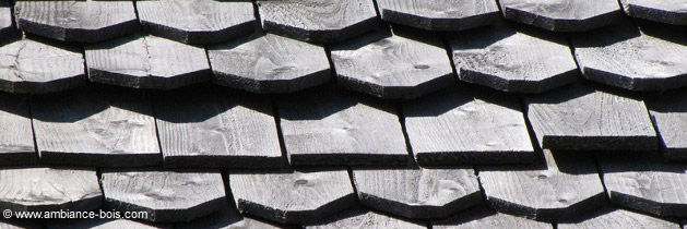 découvrez les avantages d'une toiture durable pour votre maison. optez pour des matériaux écologiques, améliorez l'efficacité énergétique et contribuez à la préservation de l'environnement tout en protégeant votre habitation.