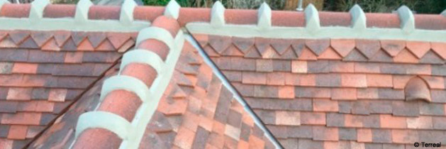 découvrez les solutions de toiture durable terreal, alliant esthétisme, performance et respect de l'environnement. optez pour des matériaux innovants qui préservent votre habitat tout en contribuant au développement durable.