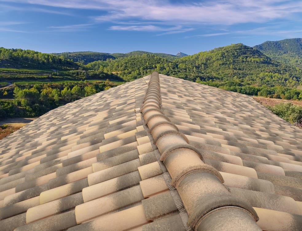 découvrez les solutions de toiture durable de terreal, alliant innovation et respect de l'environnement pour des constructions écologiques et performantes. optez pour des matériaux de qualité qui préservent la planète tout en offrant esthétique et longévité à votre projet de toiture.