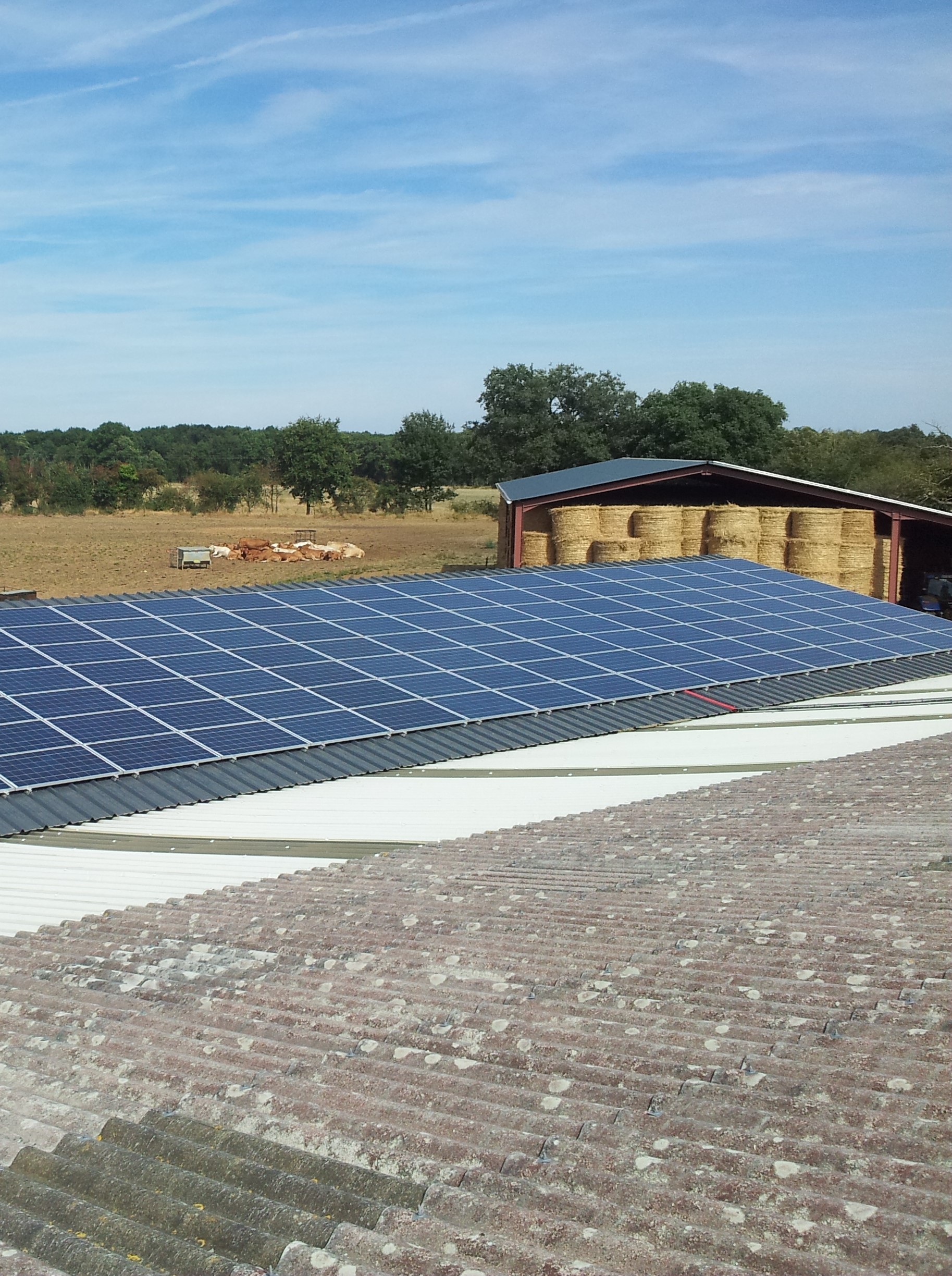 profitez d'une toiture gratuite avec solareo ! découvrez comment notre système innovant peut vous garantir une couverture optimale tout en réduisant vos coûts énergétiques. ne manquez pas cette opportunité unique d'améliorer votre habitat tout en respectant l'environnement.