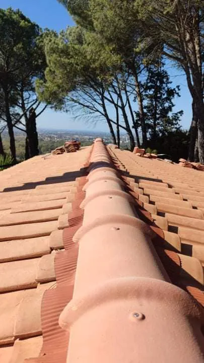 découvrez les avantages d'une toiture gratuite ! profitez d'une opportunité unique pour rénover votre maison sans frais. informez-vous sur les conditions et bénéficiez d'une toiture de qualité pour protéger votre habitat.