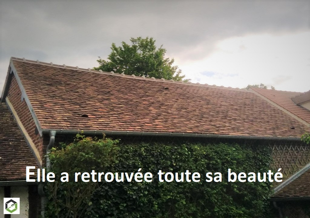 découvrez comment rénover et entretenir la toiture de votre maison ancienne pour préserver son charme et sa beauté. obtenez des conseils d'experts sur les matériaux adaptés et les techniques à adopter.