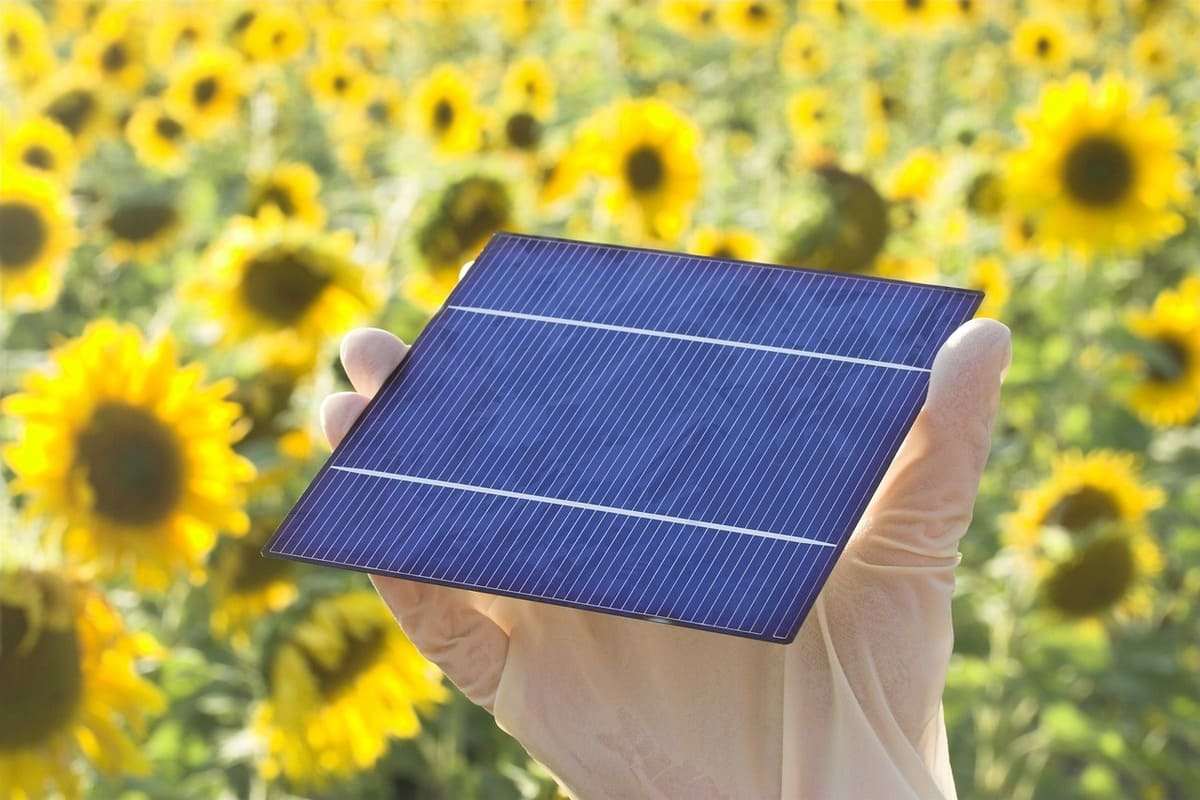 découvrez les dernières innovations en matière de toiture photovoltaïque en 2025. optimisez votre espace avec des solutions écologiques et économiques pour générer votre propre énergie solaire tout en valorisant votre habitat.