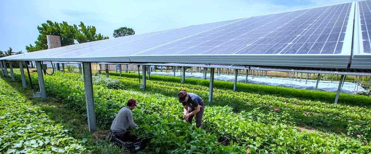 découvrez les avantages des toitures photovoltaïques agricoles : une solution durable pour optimiser la production d'énergie sur votre exploitation tout en réduisant vos coûts. transformez votre toit en source de revenus grâce à l'énergie solaire.