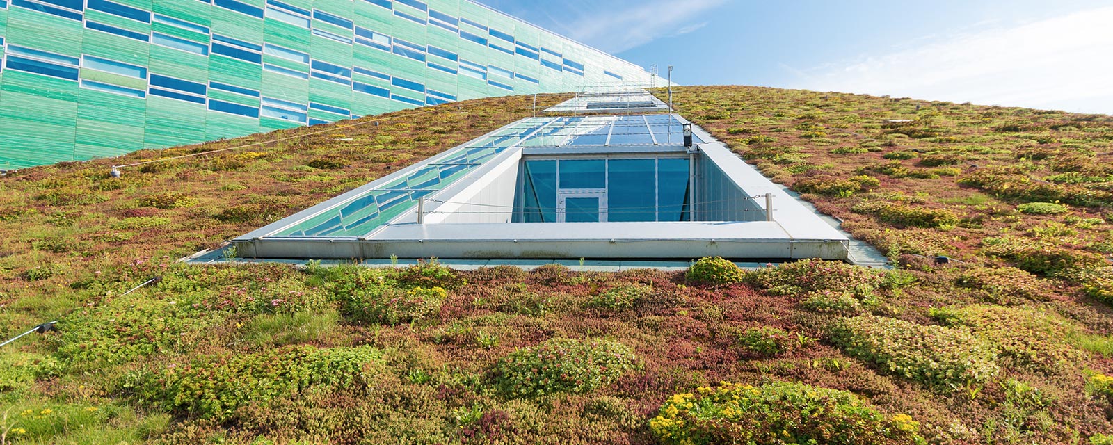 découvrez les avantages d'une toiture végétalisée : un choix écologique qui améliore l'isolation, réduit les nuisances sonores et contribue à la biodiversité. transformez votre espace extérieur en un véritable havre de paix tout en protégeant l'environnement.