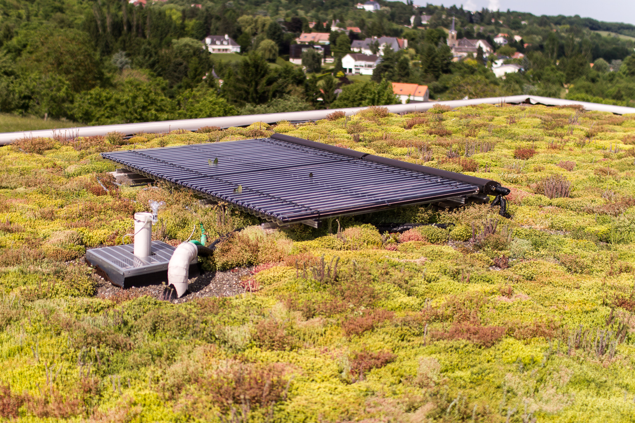 découvrez comment allier toiture végétalisée et énergie solaire pour créer un espace durable et esthétique. optimisez l'efficacité énergétique de votre bâtiment tout en préservant l'environnement grâce à des solutions écologiques innovantes.